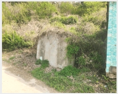  2025Ÿ��21219 �泲 ������ ���ʸ� ���� 262-1      ����(��1)���