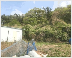  2025Ÿ��21219 �泲 ������ ���ʸ� ���� 262-1      ����(��1)���