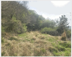  2025Ÿ��21219 �泲 ������ ���ʸ� ���� 262-1      ����(��1)���