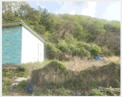  2025Ÿ��21219 �泲 ������ ���ʸ� ���� 262-1      ����(��1)���