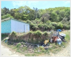  2025Ÿ��21219 �泲 ������ ���ʸ� ���� 262-1      ����(��1)���