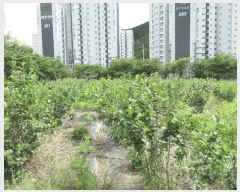  2025Ÿ21309 泲 뿵   1371-1      ()