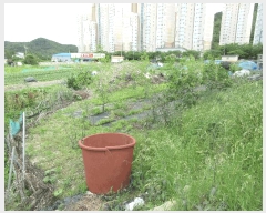  2025Ÿ21309 泲 뿵   1371-1      ()