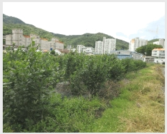  2025Ÿ21309 泲 뿵   1371-1      ()