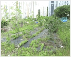  2025Ÿ21309 泲 뿵   1371-1      ()