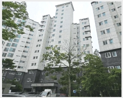  2025Ÿ21376 泲 뿵 ̼ 969 ̼ϼȾƮ 104 1101ȣ    Ʈ