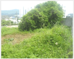  2025Ÿ��21383 �泲 ������ �Ͽ�� �������� 891-3      ����(��)���