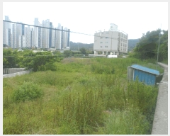  2025Ÿ��21383 �泲 ������ �Ͽ�� �������� 891-3      ����(��)���