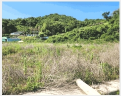  2025Ÿ��21412  �����