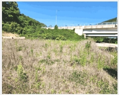  2025Ÿ��21412  �����