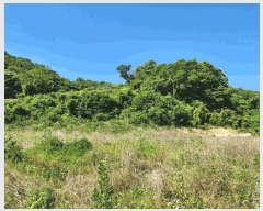  2025Ÿ��21412  �����