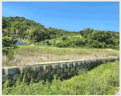  2025Ÿ��21412  �����