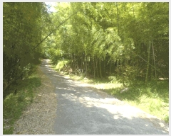  2025Ÿ��21429  �Ӿ߰��