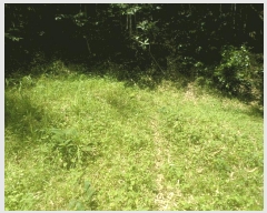  2025Ÿ��21429  �Ӿ߰��