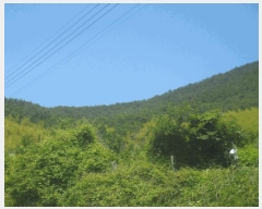  2025Ÿ��21429  �Ӿ߰��