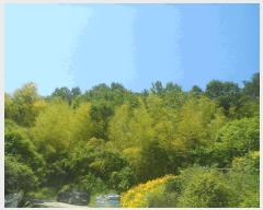  2025Ÿ��21429  �Ӿ߰��