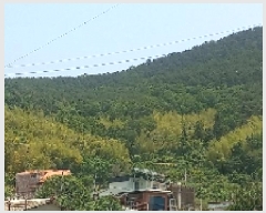  2025Ÿ��21429  �Ӿ߰��