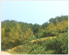  2025Ÿ��21429  �Ӿ߰��