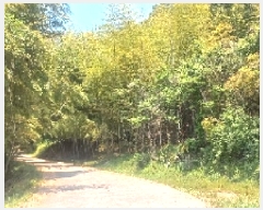  2025Ÿ��21429  �Ӿ߰��