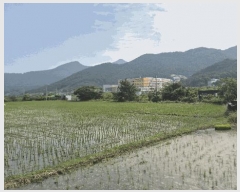  2025Ÿ��21453 �泲 ������ ������ 260-2       ����(��)���