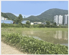  2025Ÿ��21453  ����