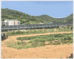  2025Ÿ��21453 �泲 ������ ������ 260-2       ����(��)���