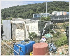  2025Ÿ��21453 �泲 ������ ������ 260-2       ����(��)���