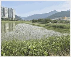  2025Ÿ��21453 �泲 ������ ������ 260-2       ����(��)���