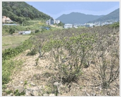  2025Ÿ��21453  ����