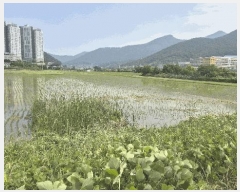  2025Ÿ��21453  ����