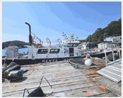  2025Ÿ��21477  ���ڰ��