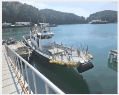  2025Ÿ��21477  ���ڰ��