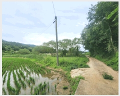  2025Ÿ��21485 �泲 ������ �д��� �л긮 88-1      ����(��)���