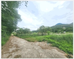  2025Ÿ��21485 �泲 ������ �д��� �л긮 88-1      ����(��)���