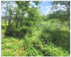  2025Ÿ��21485 �泲 ������ �д��� �л긮 88-1      ����(��)���