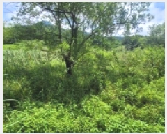  2025Ÿ��21485 �泲 ������ �д��� �л긮 88-1      ����(��)���