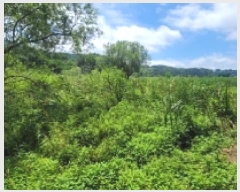  2025Ÿ��21485 �泲 ������ �д��� �л긮 88-1      ����(��)���