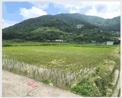  2025Ÿ��21526 �泲 ������ ������ 703       ����(��)���