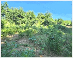  2025Ÿ��21533 �泲 ������ ��õ�� ��ȸ� ��39      ����(�Ӿ�)���