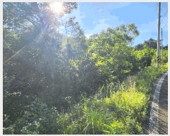  2025Ÿ��21533 �泲 ������ ��õ�� ��ȸ� ��39      ����(�Ӿ�)���