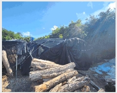  2025Ÿ��21533 �泲 ������ ��õ�� ��ȸ� ��39      ����(�Ӿ�)���