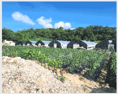  2025Ÿ��21533 �泲 ������ ��õ�� ��ȸ� ��39      ����(�Ӿ�)���