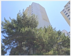  2025Ÿ��21550  ����Ʈ���