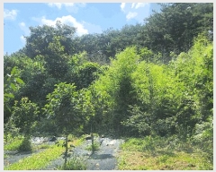  2025Ÿ��21592  �������