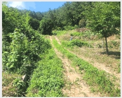  2025Ÿ��21592  �������