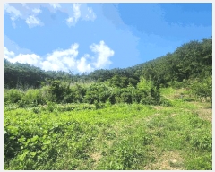  2025Ÿ��21592  �������