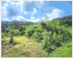  2025Ÿ��21592  �������