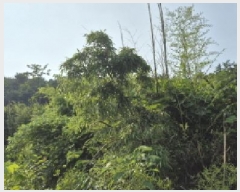  2025Ÿ��21592  �������