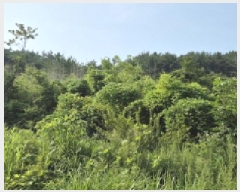  2025Ÿ��21592  �������