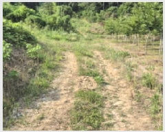  2025Ÿ��21592  �������